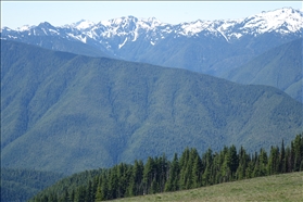 Olympic NP